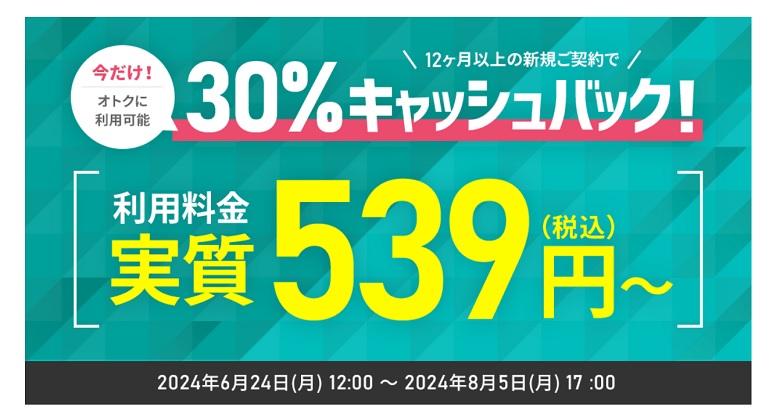 シンレンタルサーバー、キャンペーン、ベーシック、スタンダード